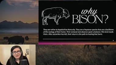 Why Bison? — Learning Lab session